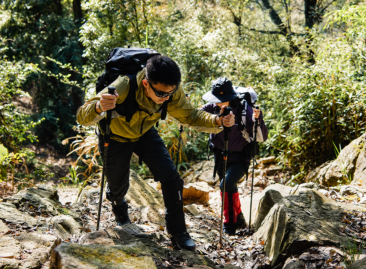 ⛰️ La Halte — Tous les produits Image